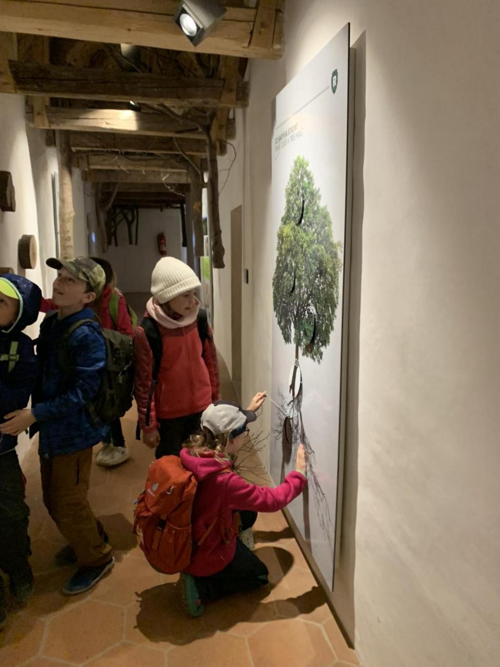 Výlet na hrad Roštejn 2.B