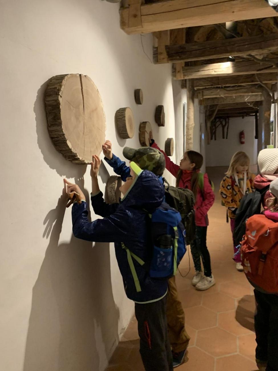 Výlet na hrad Roštejn 2.B