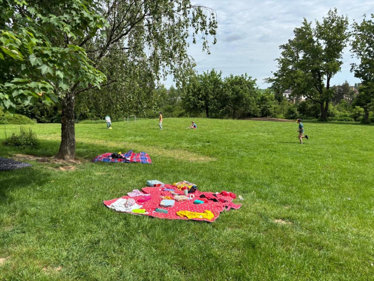 Třídní piknik na školní zahradě 1.B