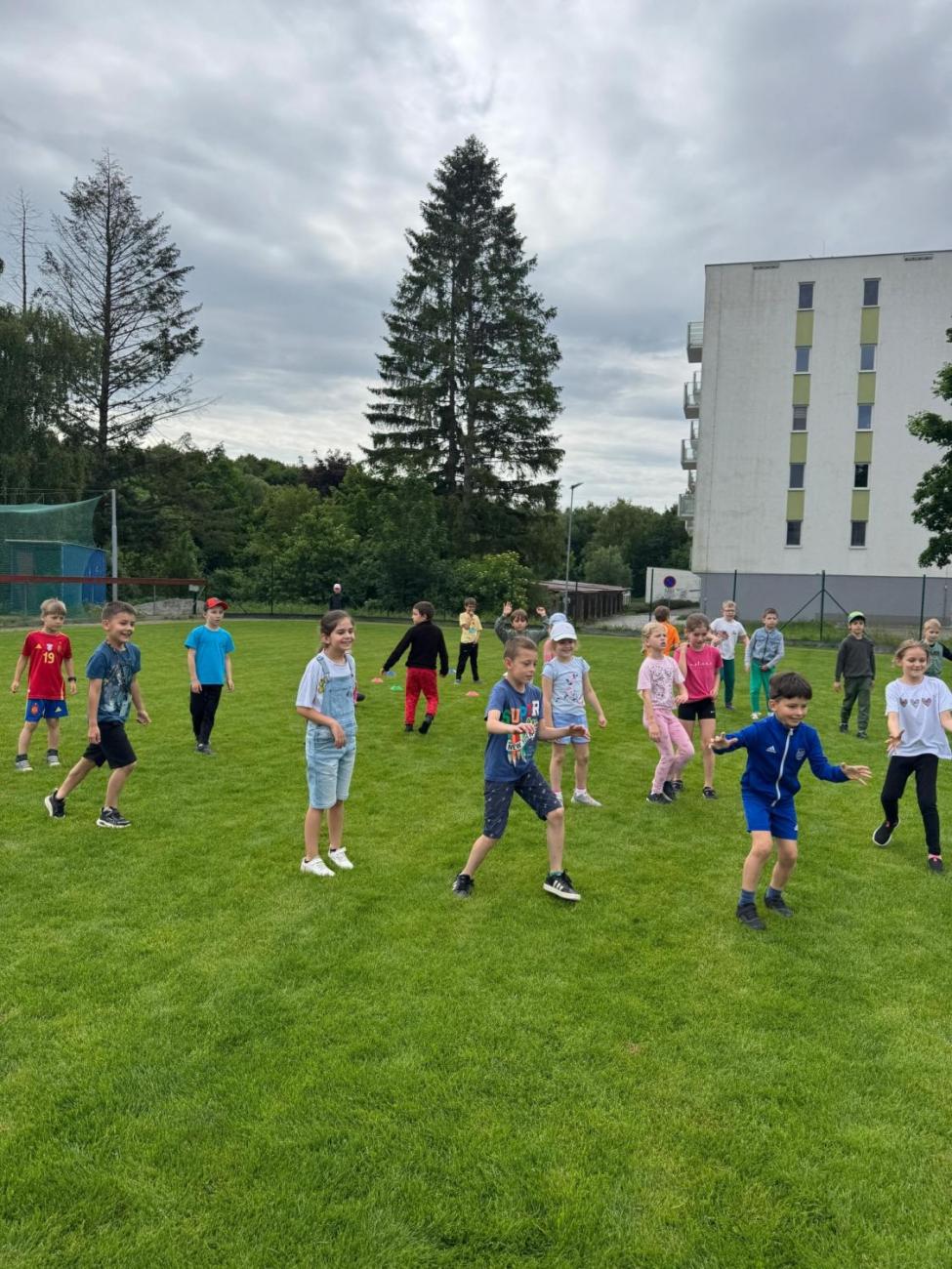 Baseball 1.ročník