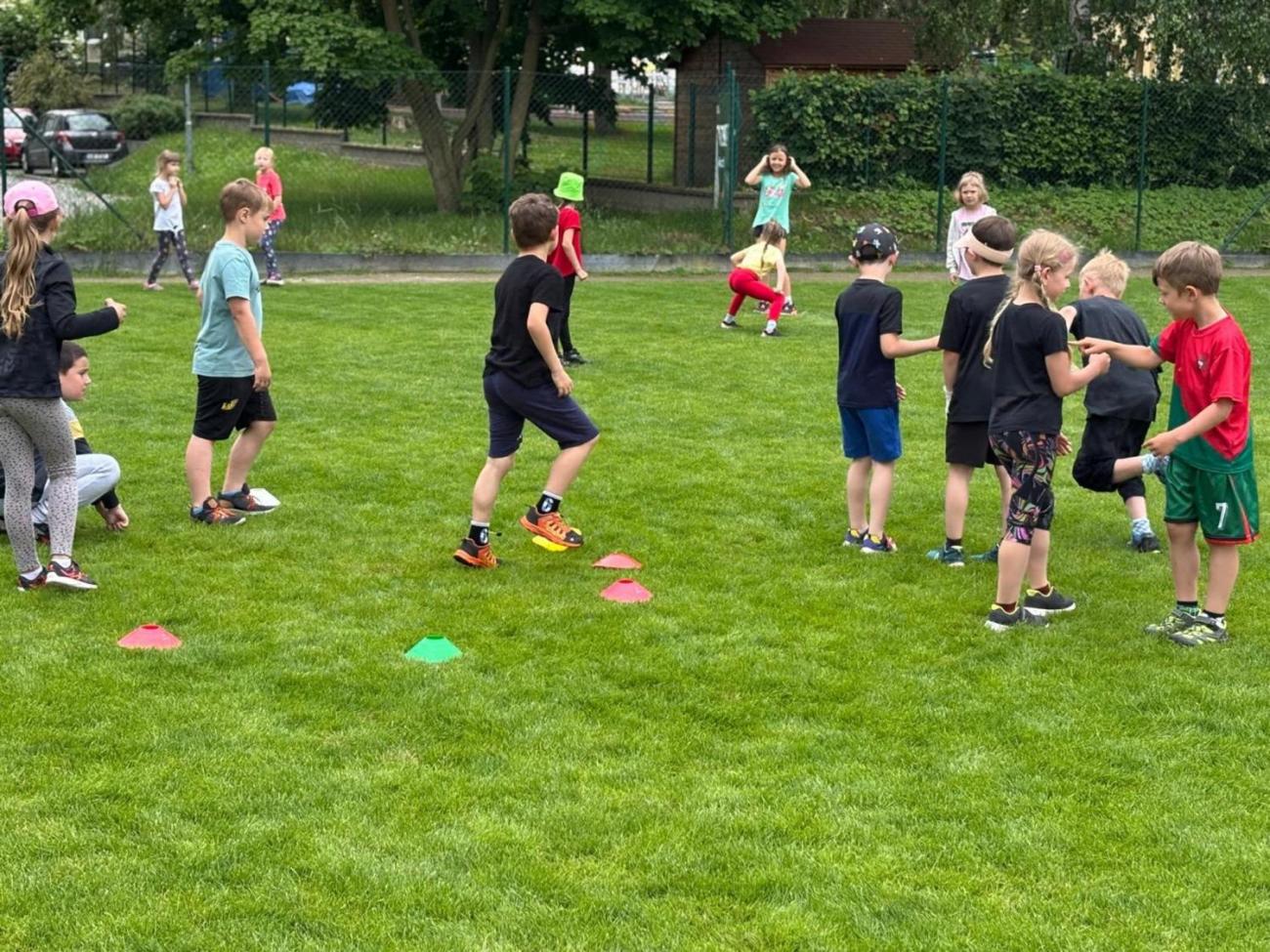 Baseball 1.ročník