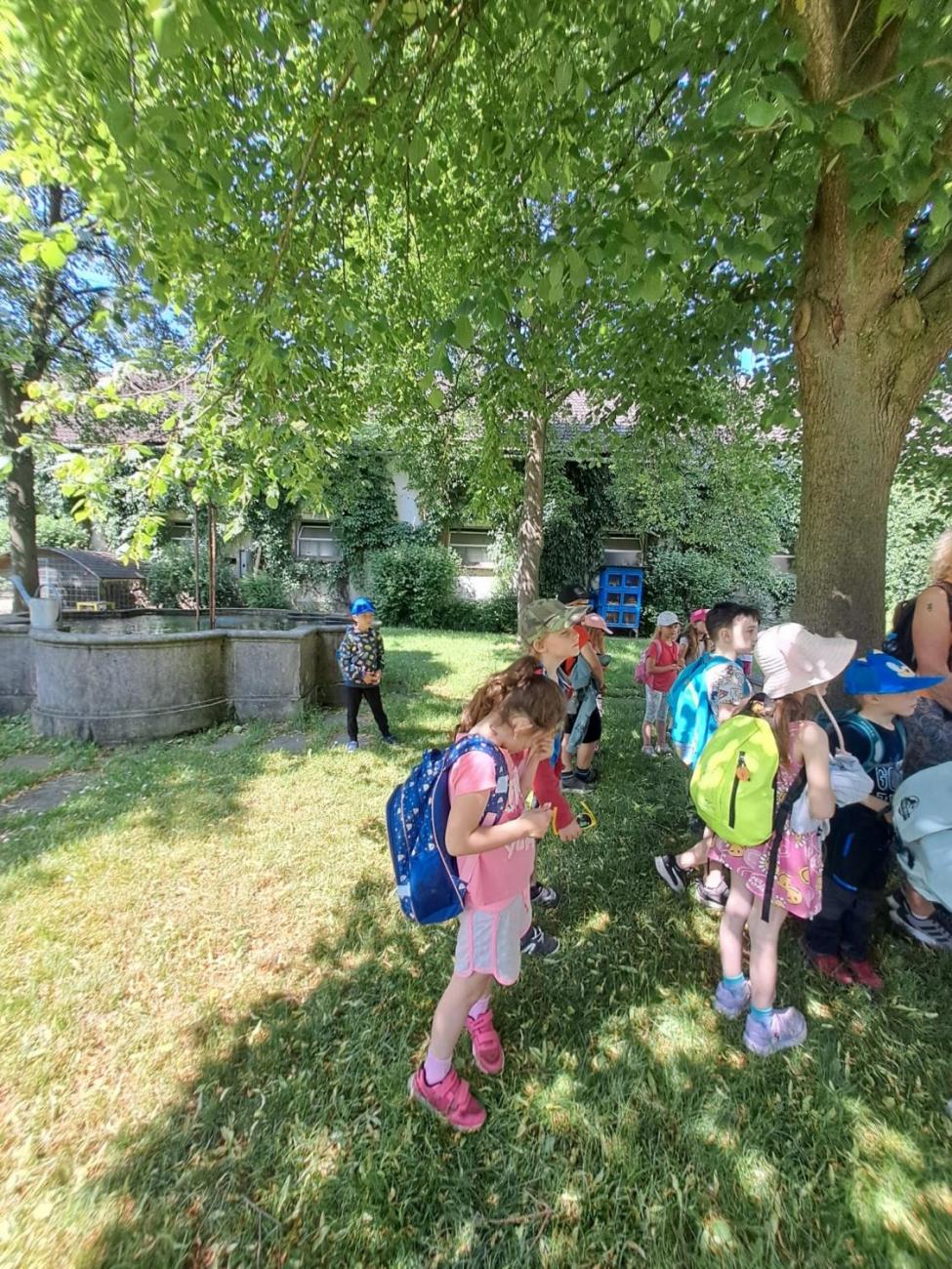 Výlet na Zaječí skok a na statek do Rantířova 1.C