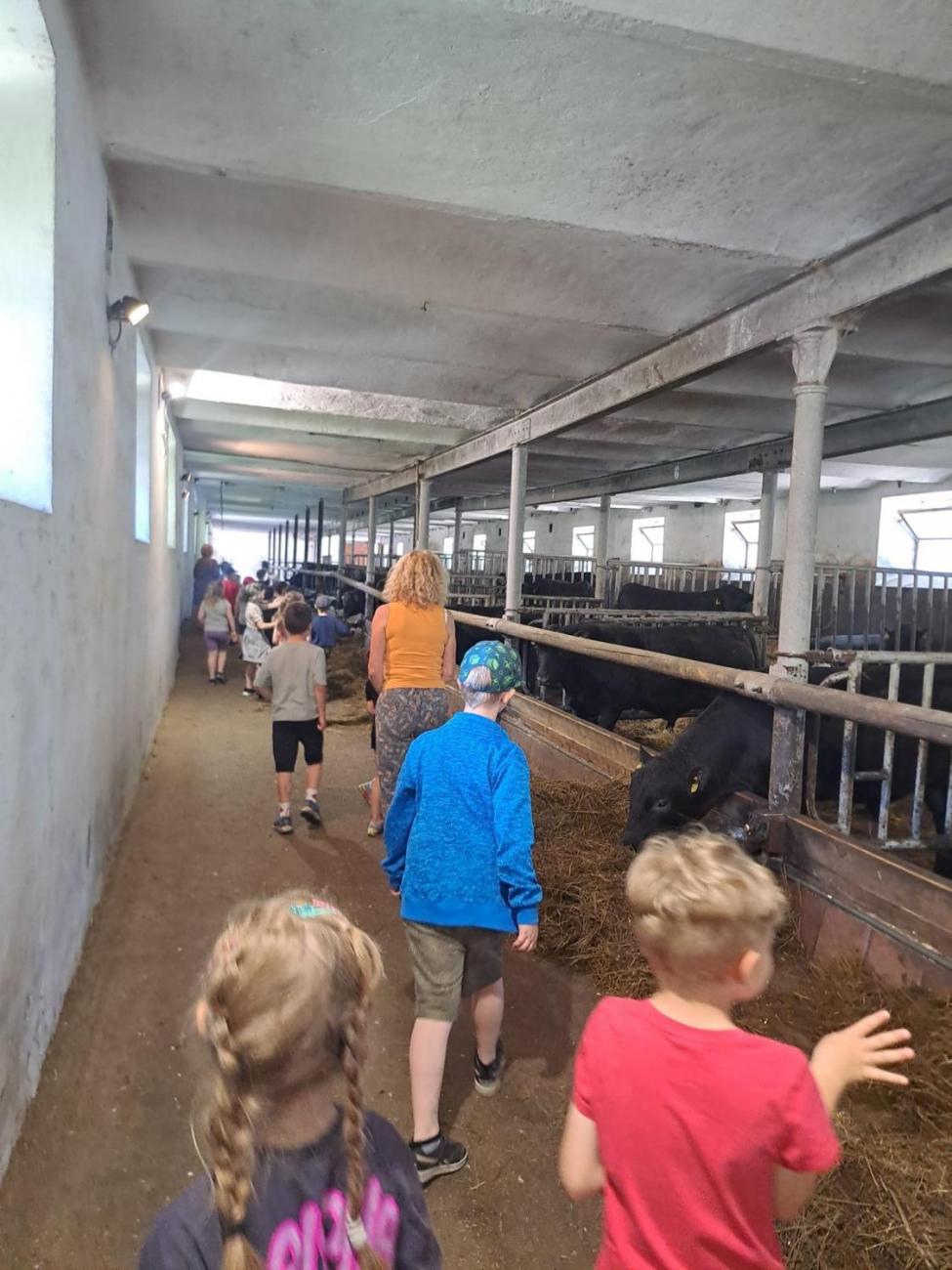 Výlet na Zaječí skok a na statek do Rantířova 1.C