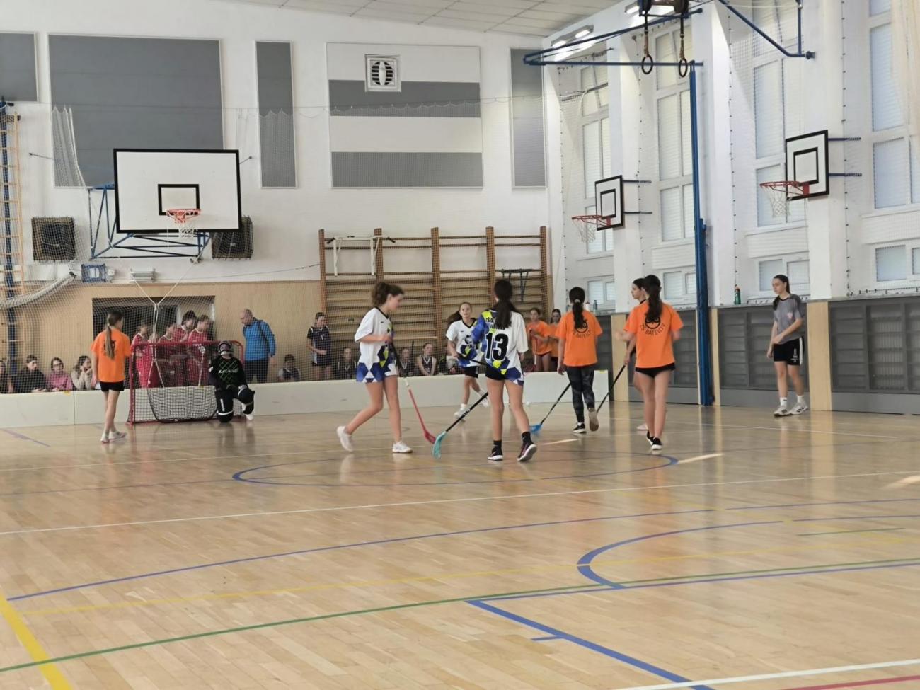 Zlato pro naše mladší žákyně ve florbalu!