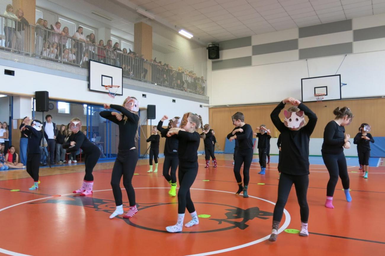 Vystoupení v tělocvičně v rámci 32. Veletrhu zdraví