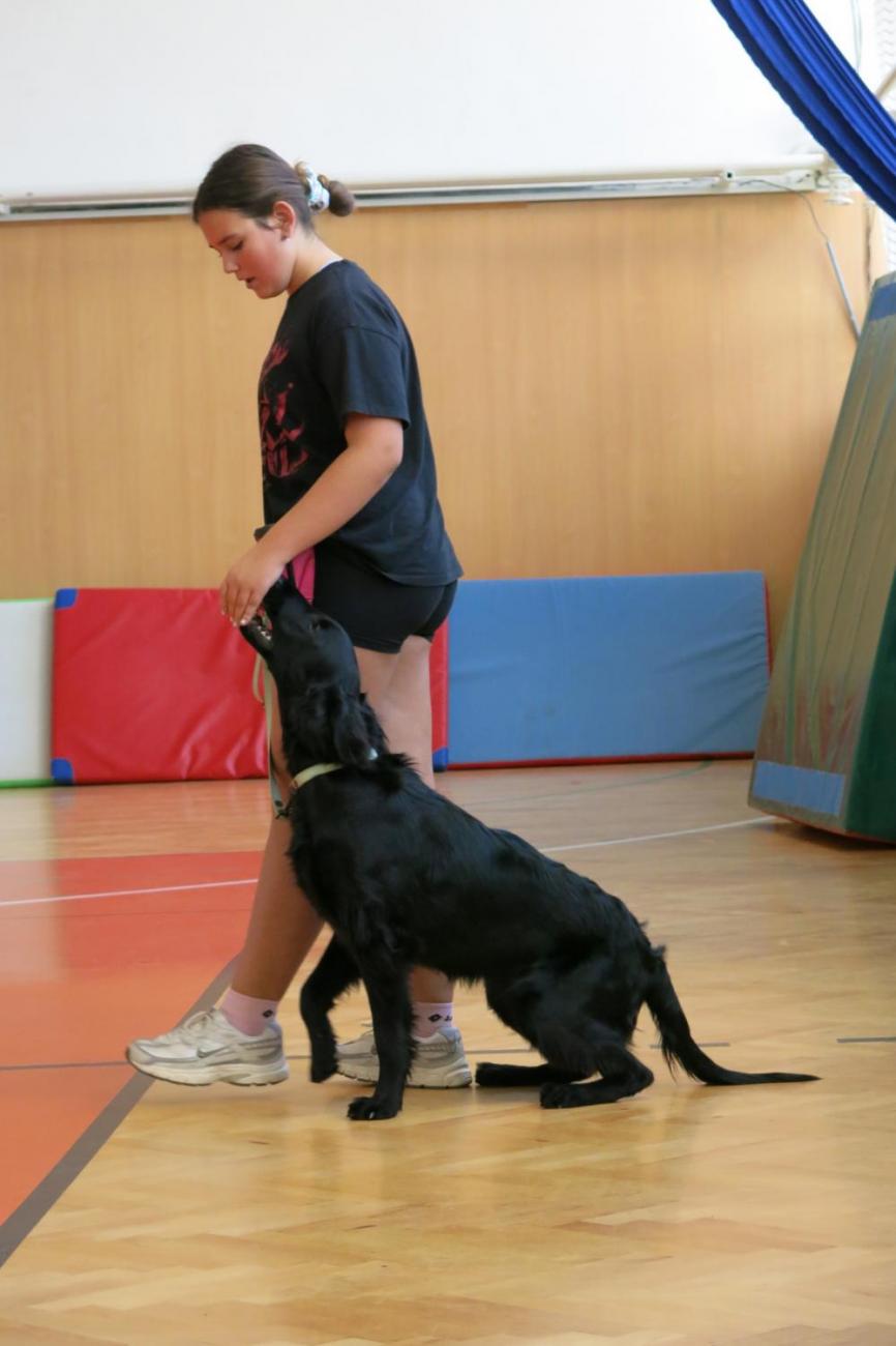 Vystoupení v tělocvičně v rámci 32. Veletrhu zdraví