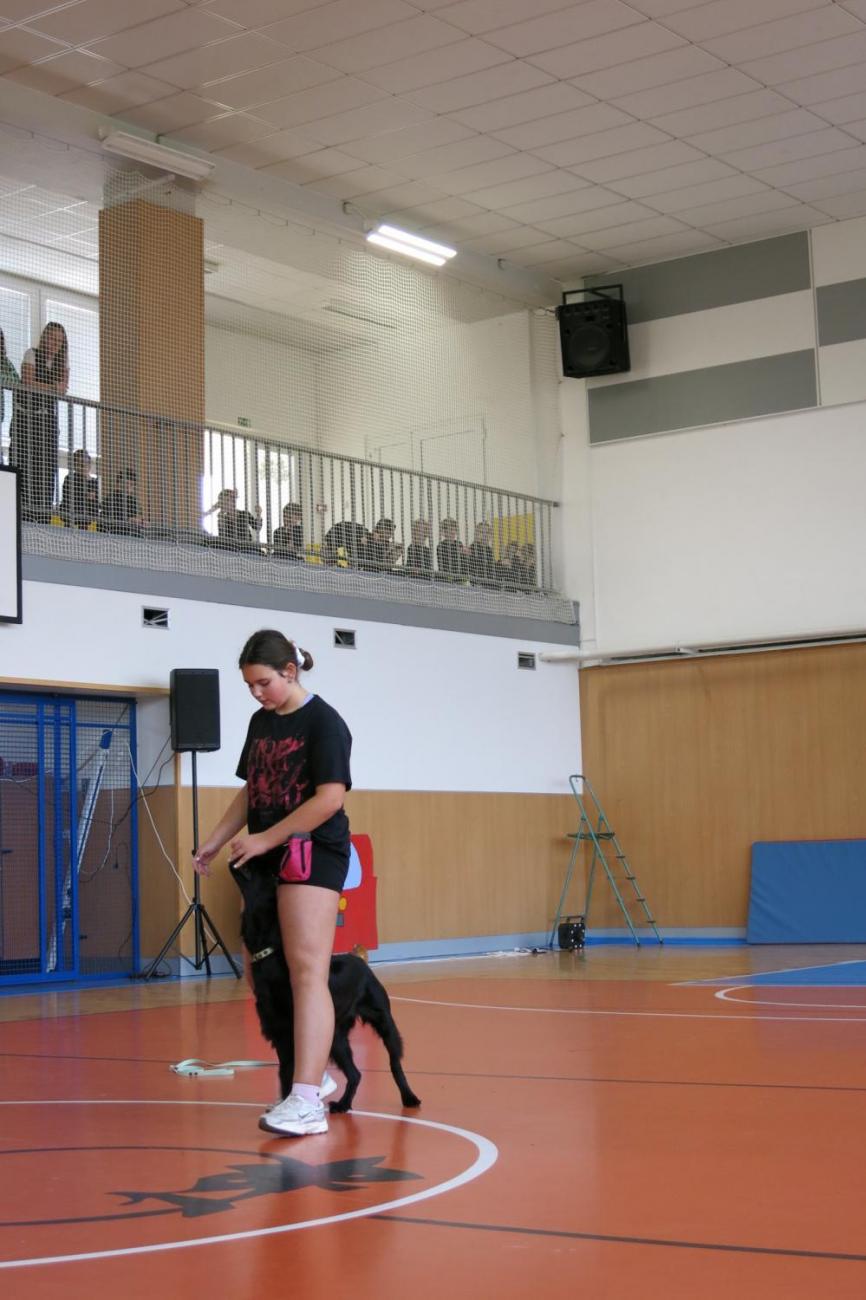 Vystoupení v tělocvičně v rámci 32. Veletrhu zdraví