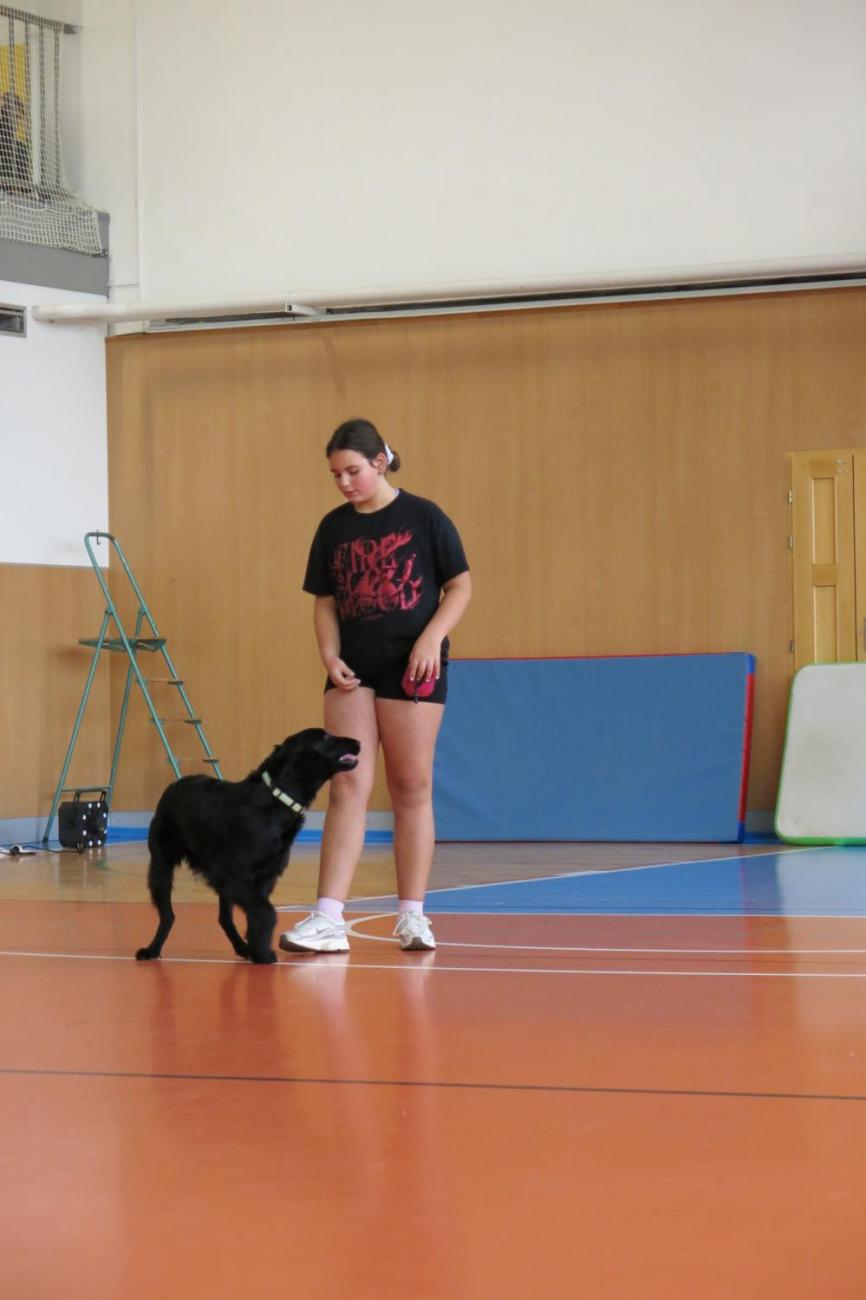 Vystoupení v tělocvičně v rámci 32. Veletrhu zdraví