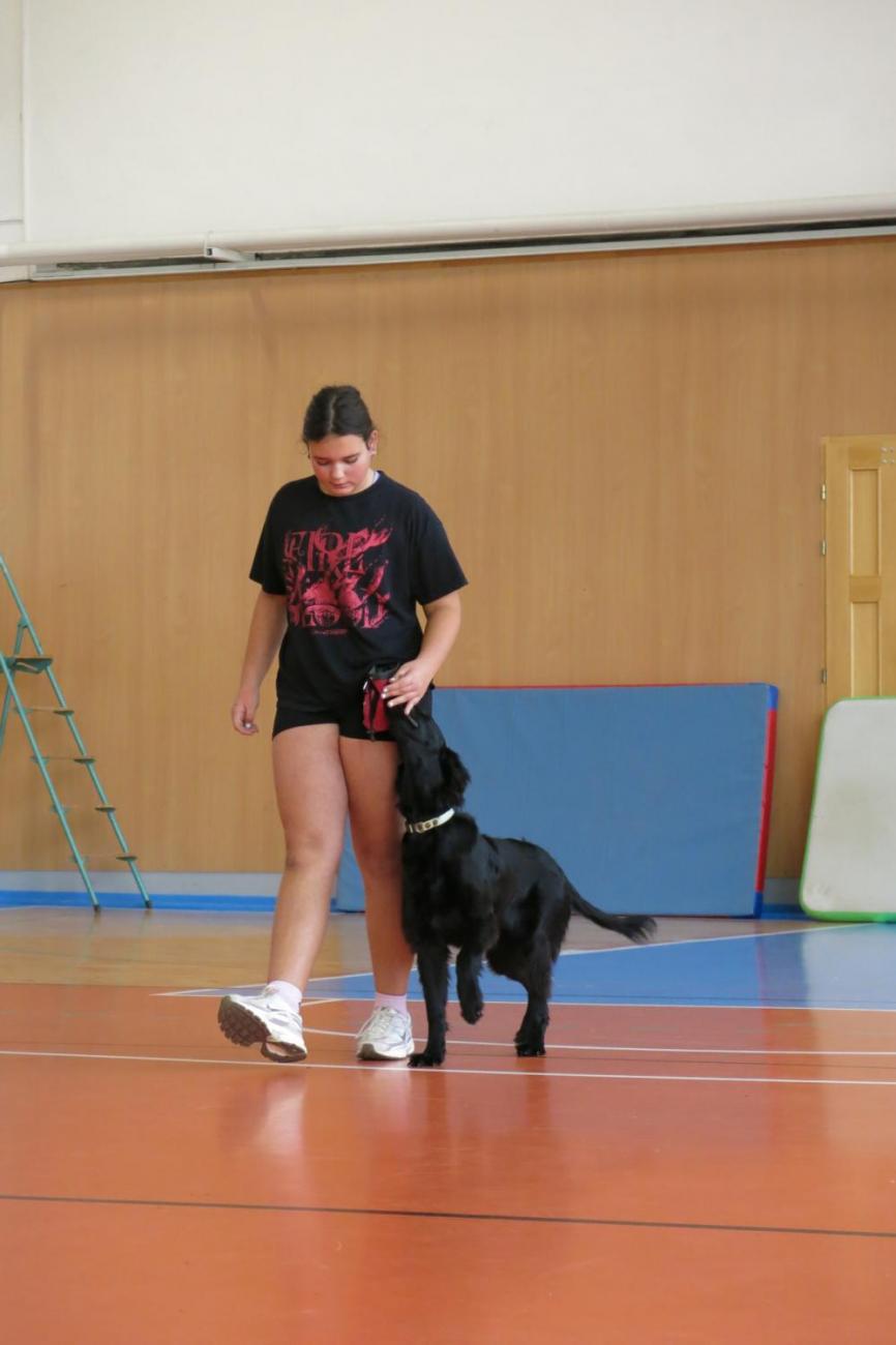 Vystoupení v tělocvičně v rámci 32. Veletrhu zdraví