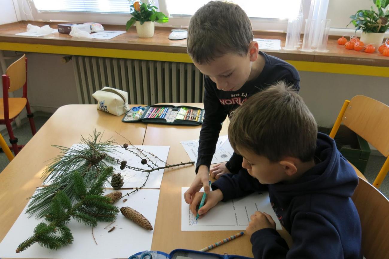 Veletrhu zdraví – badatelské aktivity 3. ročníku