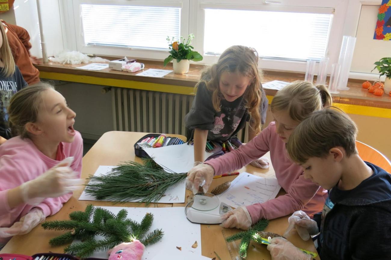 Veletrhu zdraví – badatelské aktivity 3. ročníku