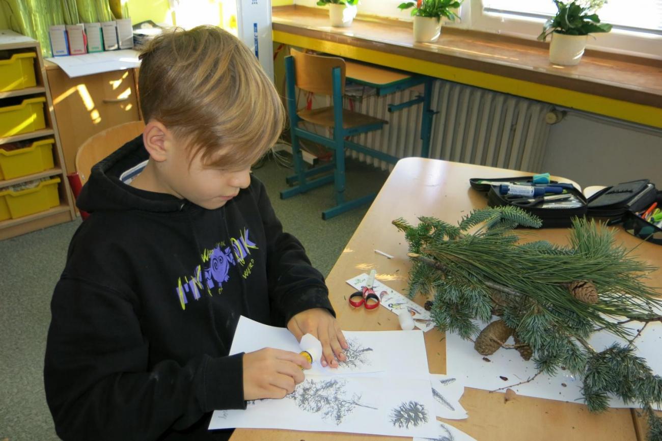 Veletrhu zdraví – badatelské aktivity 3. ročníku