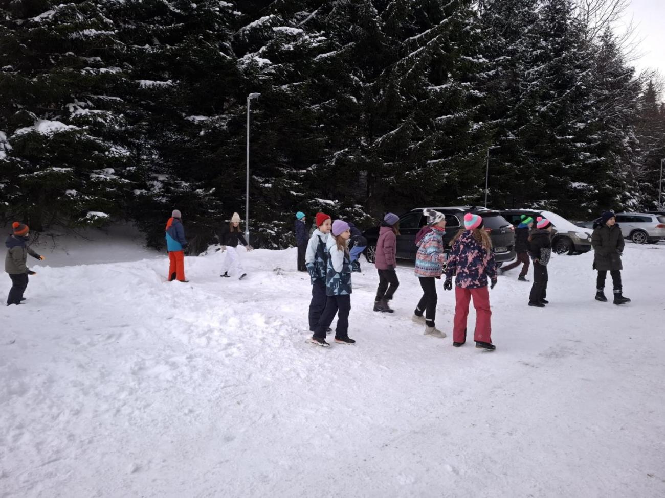 LVK 5.A a 5.C - Šumava