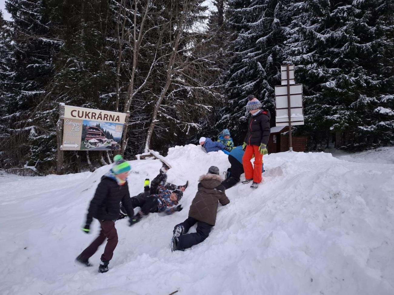 LVK 5.A a 5.C - Šumava