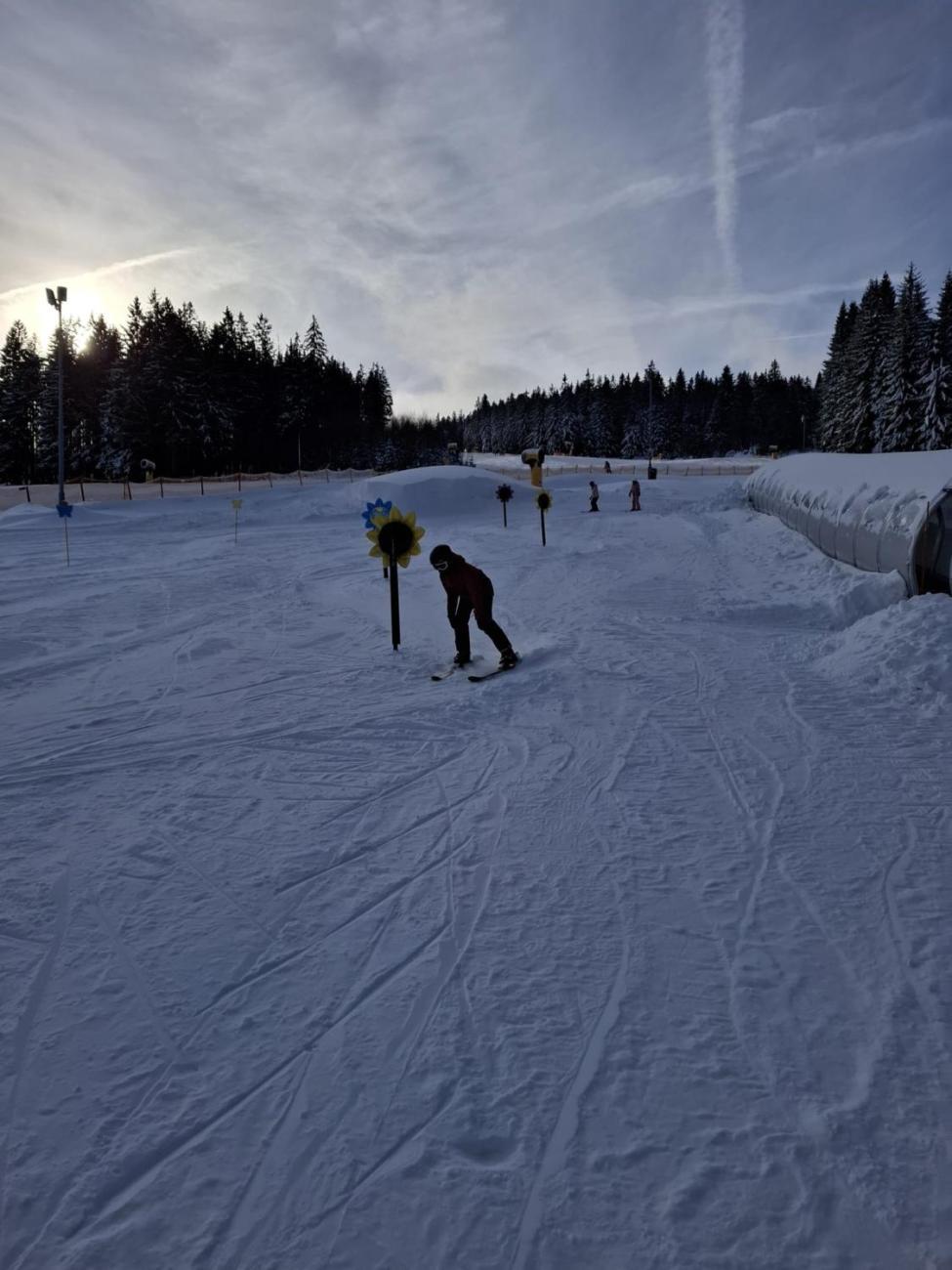 LVK 5.A a 5.C - Šumava