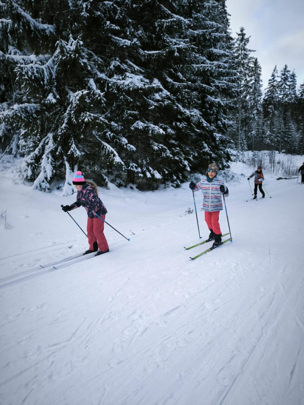 LVK 5.A a 5.C - Šumava