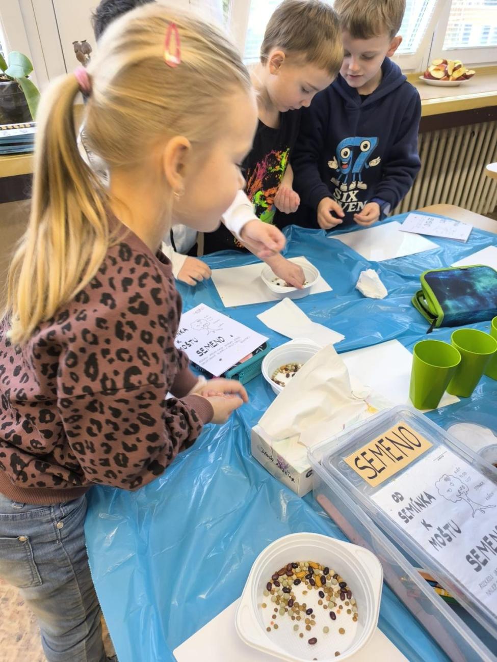 Od semínka k moštu 1.A