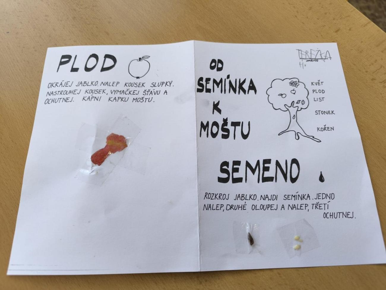 Od semínka k moštu 1.A