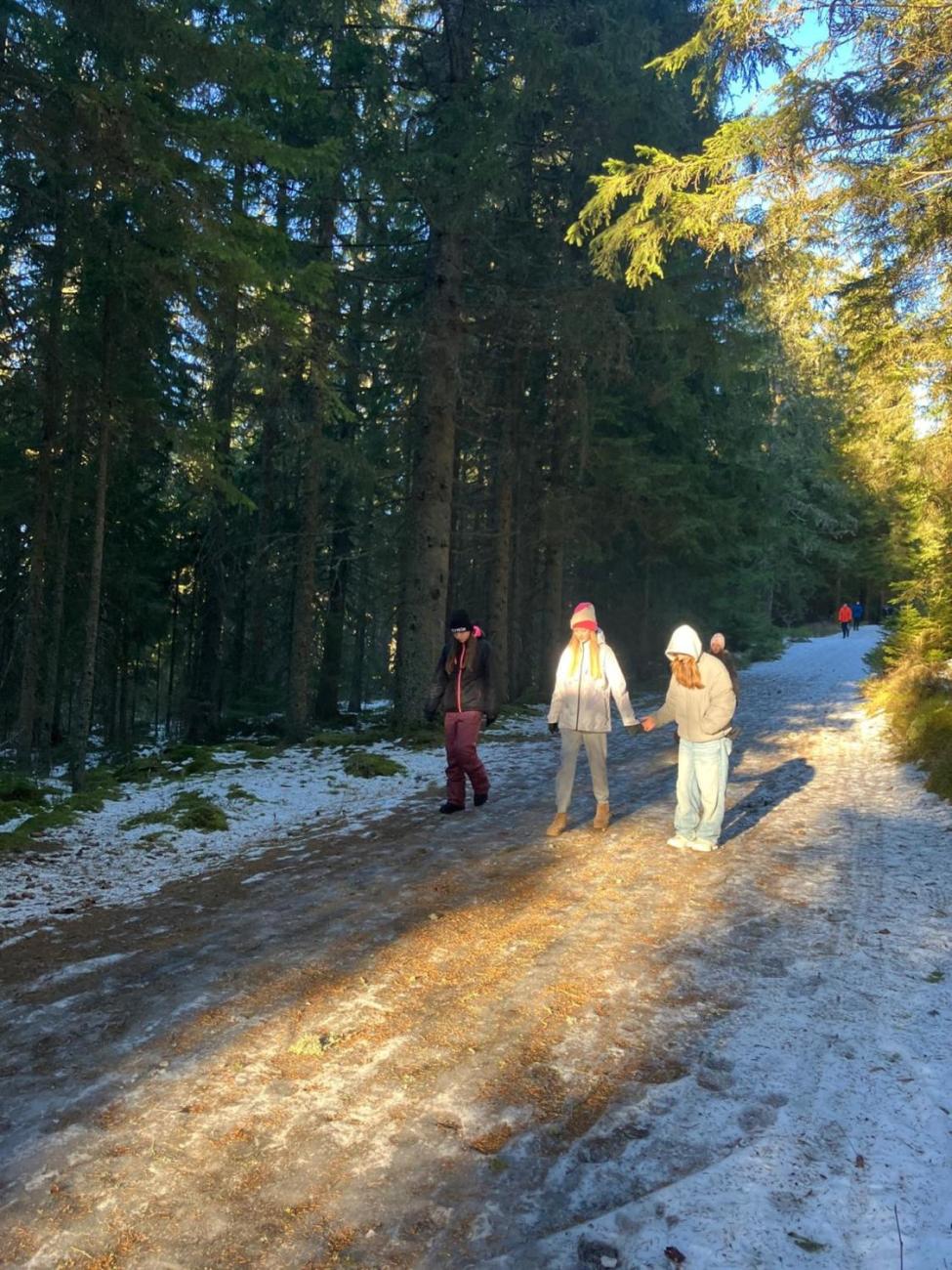 LVK Zadov očima žáků 7.D