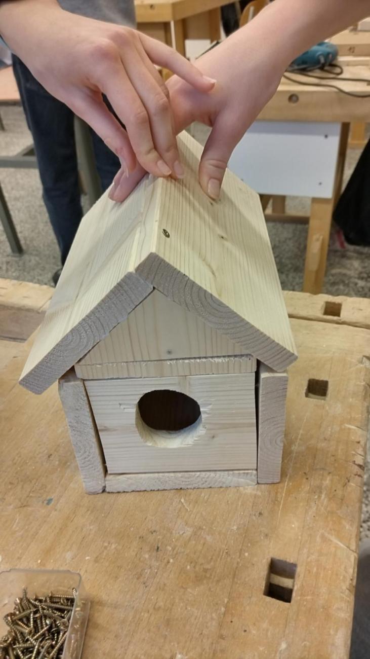 Vyrábíme krmítka i ptačí budky