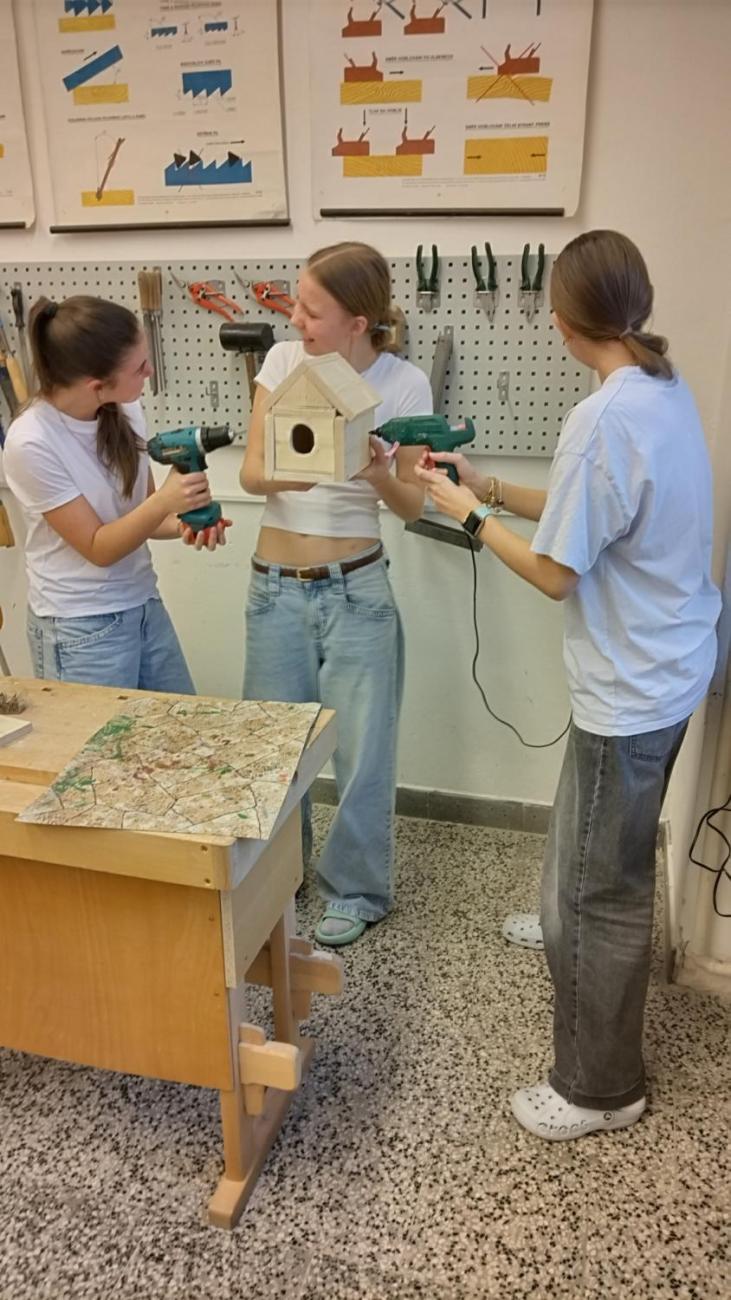 Vyrábíme krmítka i ptačí budky