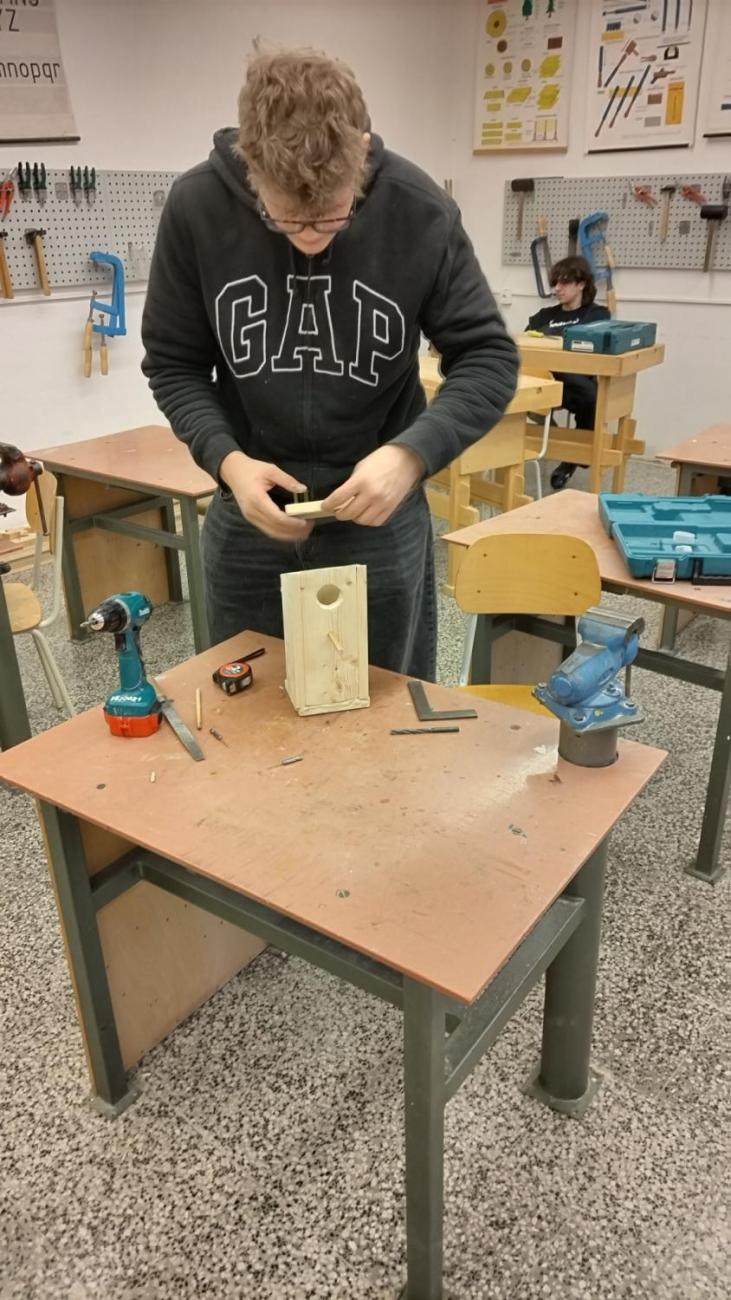 Vyrábíme krmítka i ptačí budky