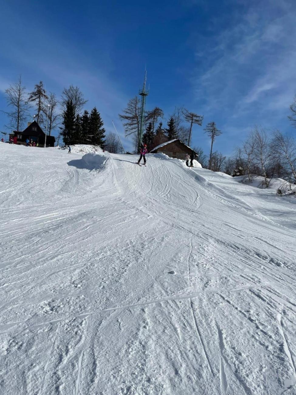 Lyžování na Čeřínku  2. ročník