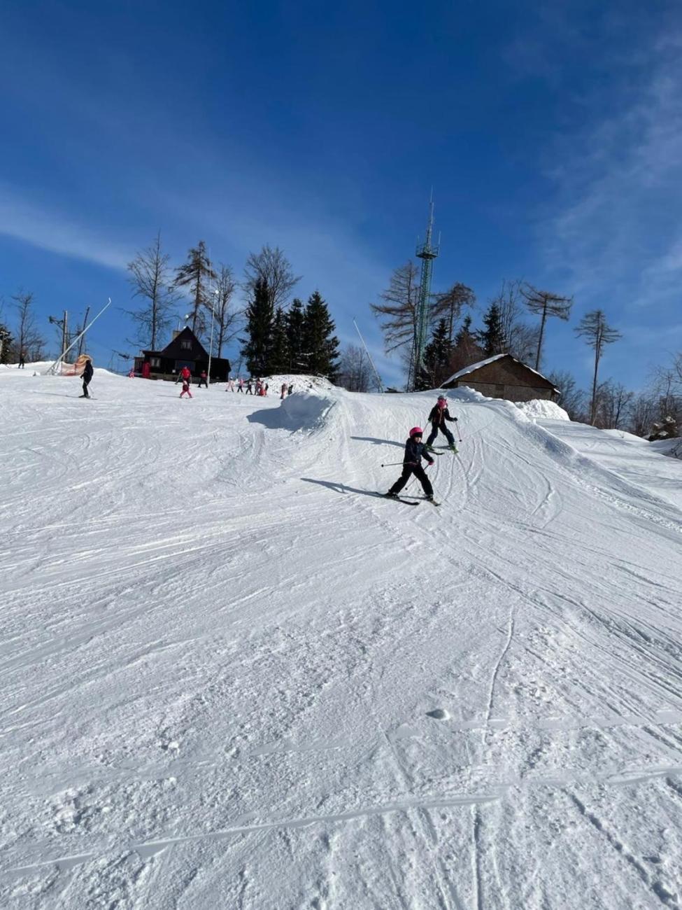 Lyžování na Čeřínku  2. ročník