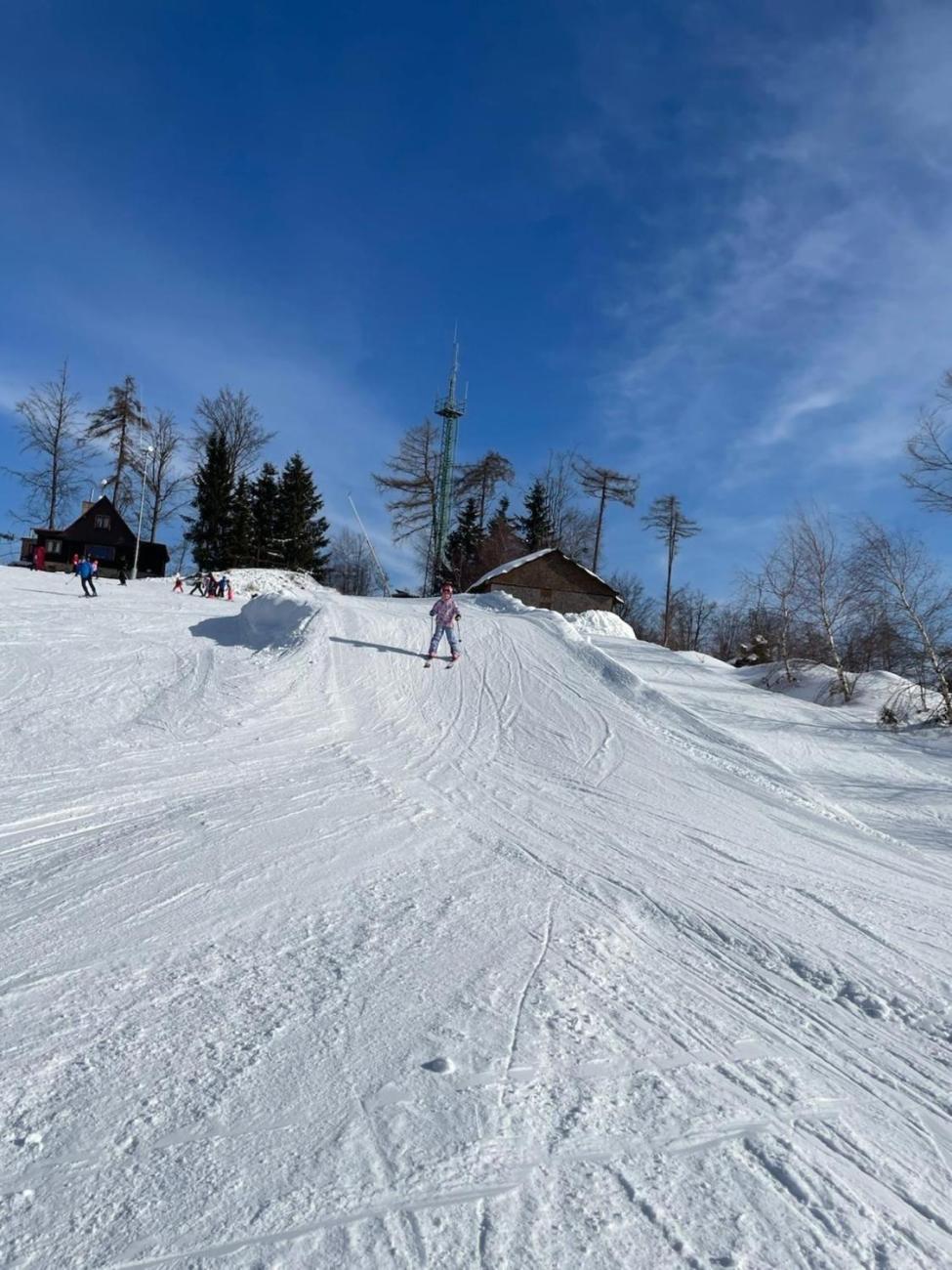 Lyžování na Čeřínku  2. ročník
