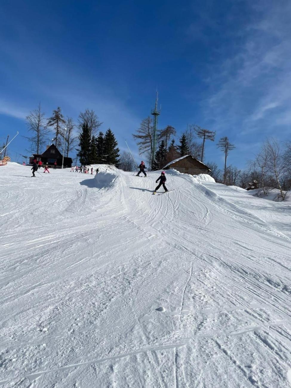 Lyžování na Čeřínku  2. ročník