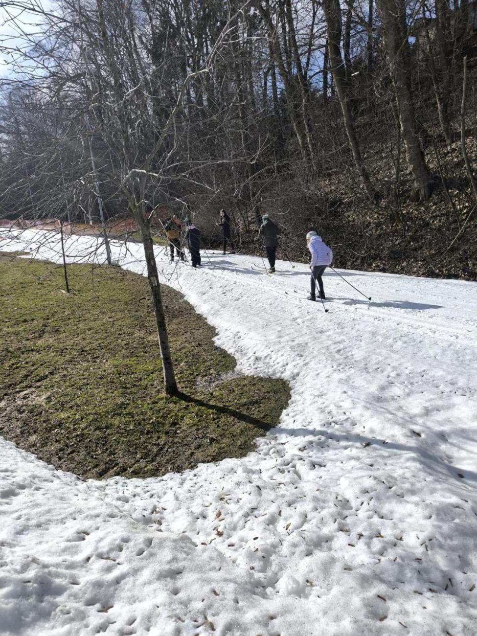 Na běžkách až do jara!