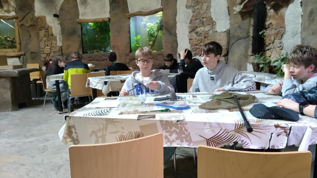 Ptačí svět – vzdělávací program v ZOO Jihlava