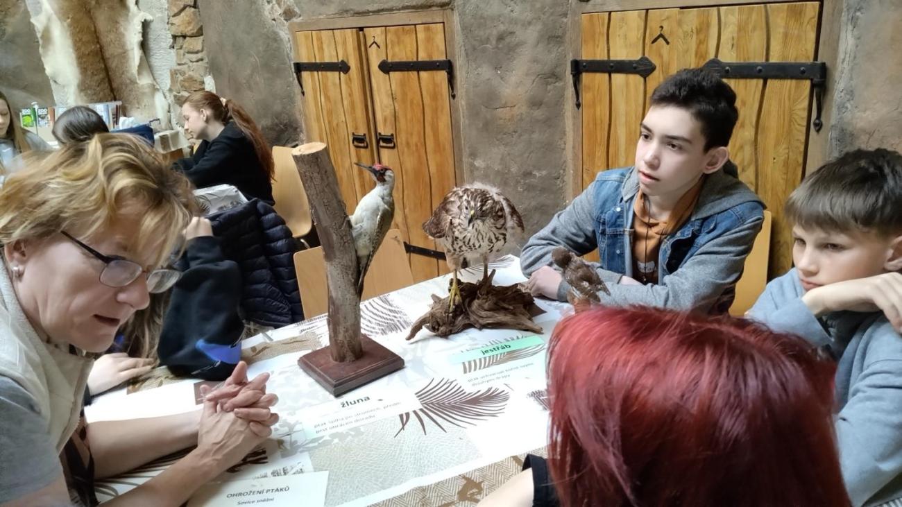 Ptačí svět – vzdělávací program v ZOO Jihlava