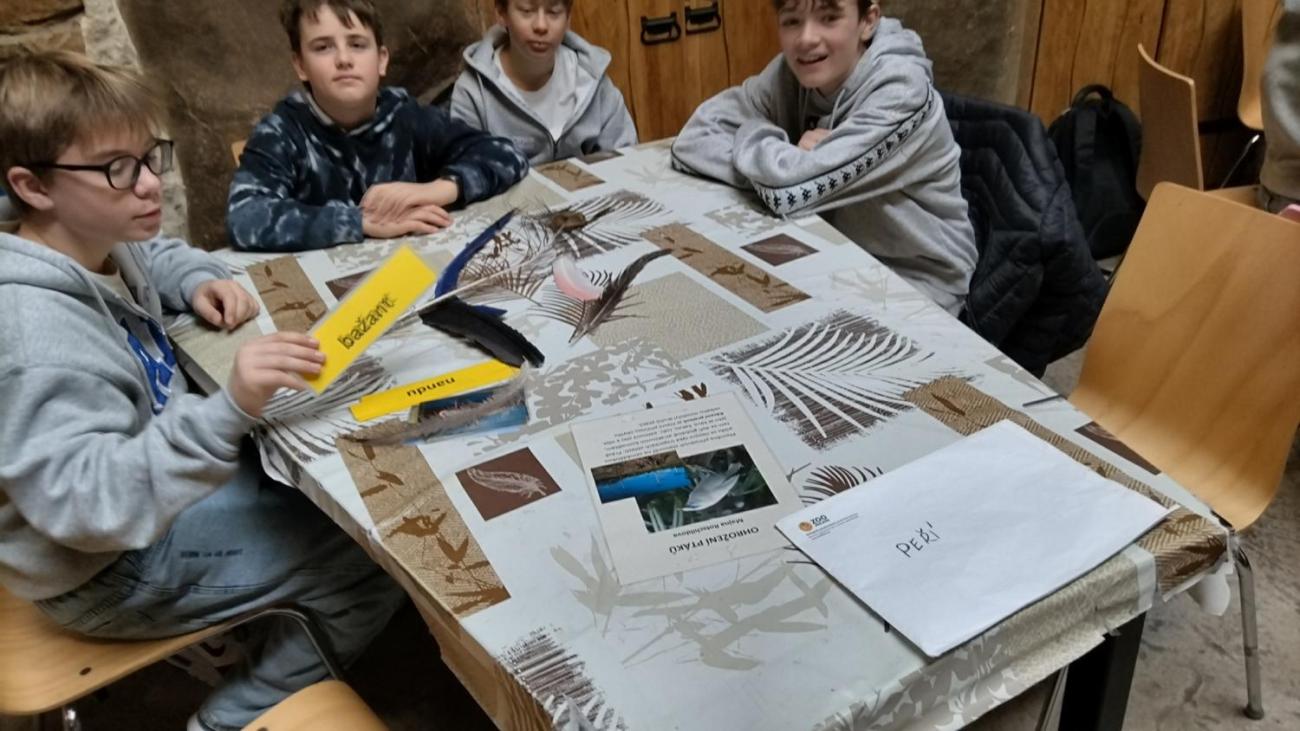 Ptačí svět – vzdělávací program v ZOO Jihlava