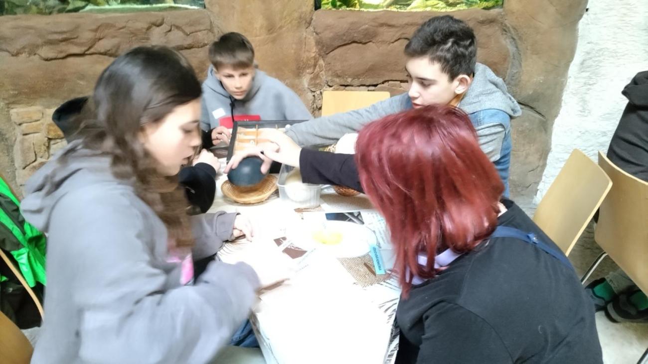 Ptačí svět – vzdělávací program v ZOO Jihlava