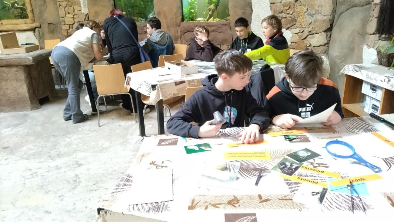 Ptačí svět – vzdělávací program v ZOO Jihlava