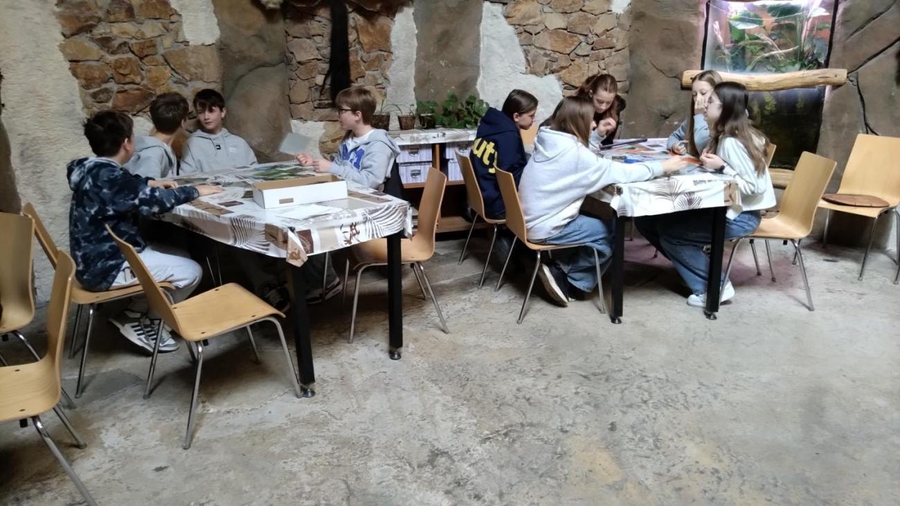 Ptačí svět – vzdělávací program v ZOO Jihlava