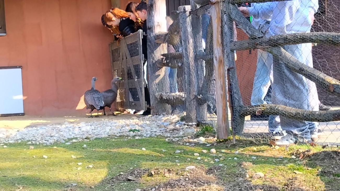 Ptačí svět – vzdělávací program v ZOO Jihlava