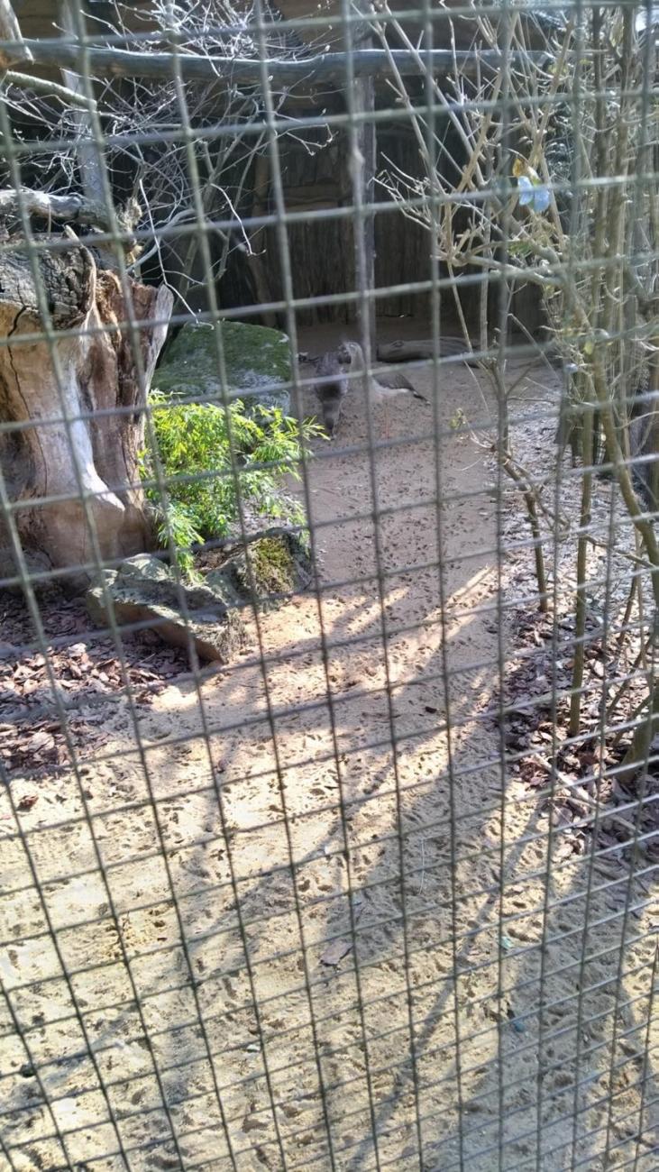 Ptačí svět – vzdělávací program v ZOO Jihlava