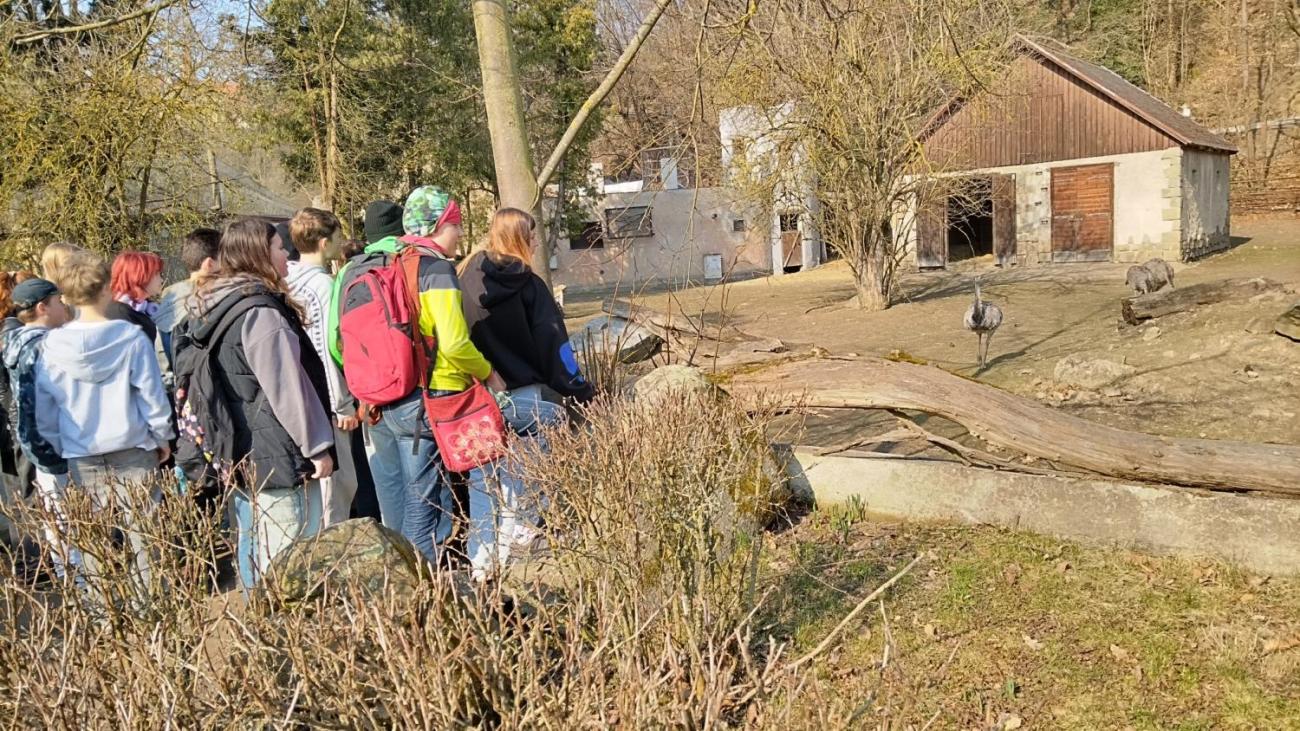 Ptačí svět – vzdělávací program v ZOO Jihlava