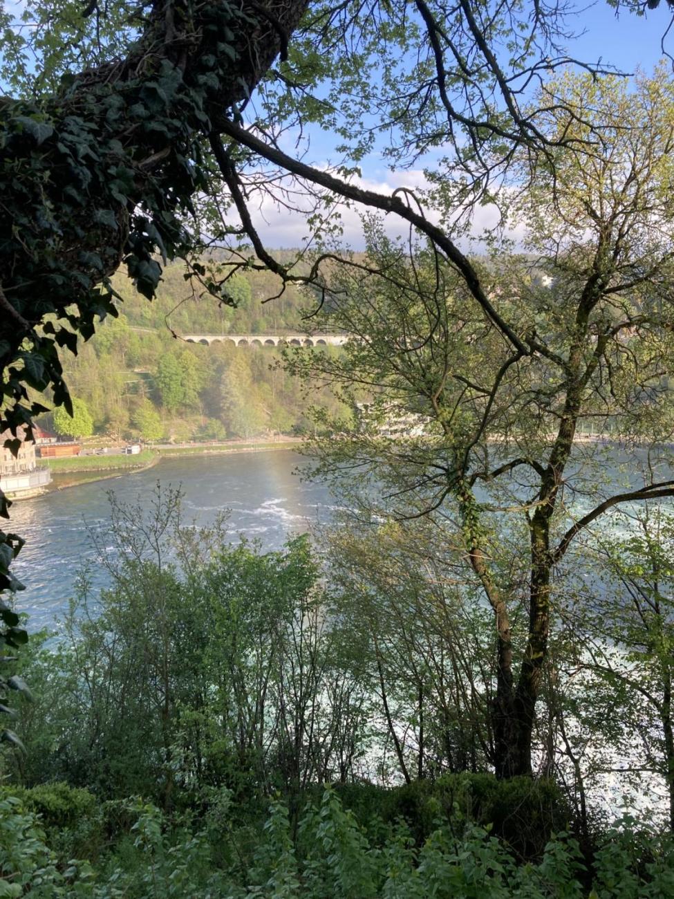 In der Schweiz/ Ve Švýcarsku