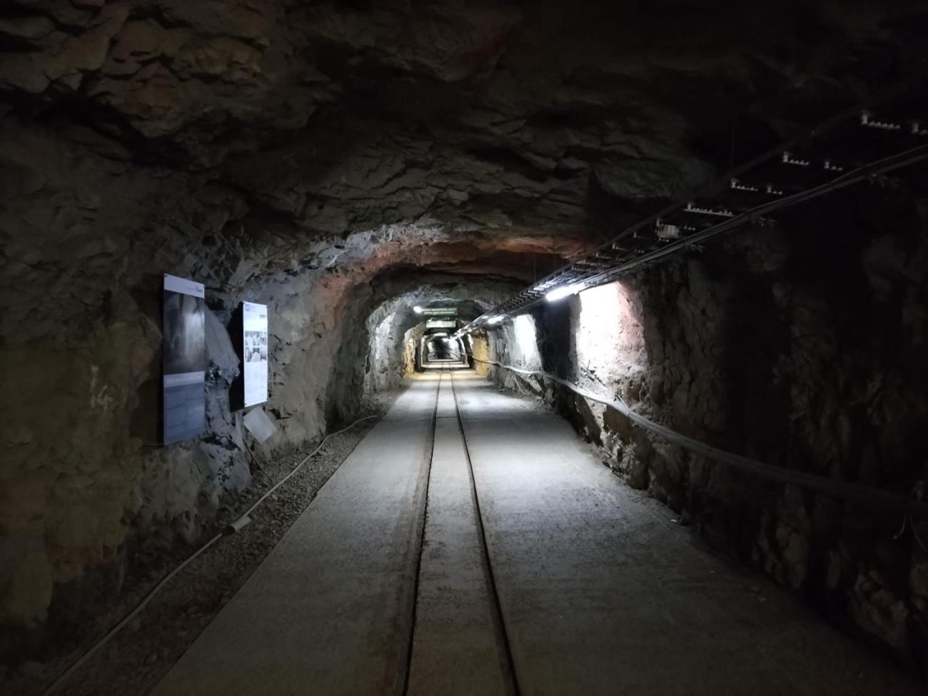 Geologická olympiáda