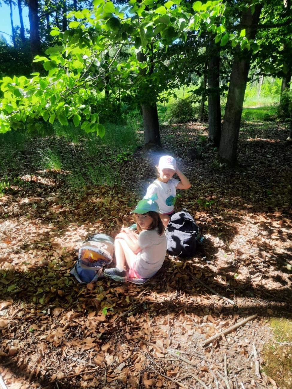 Výlet 2. C na hrad Roštejn