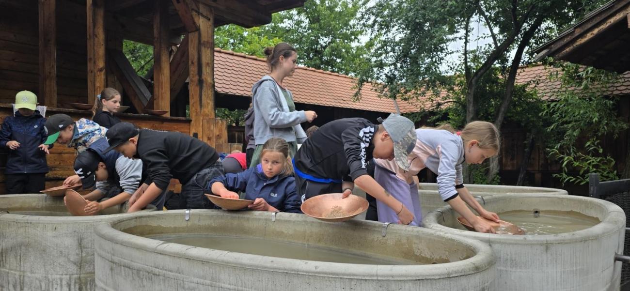 Výlet 4. tříd do Poděbrad a Botanicusu