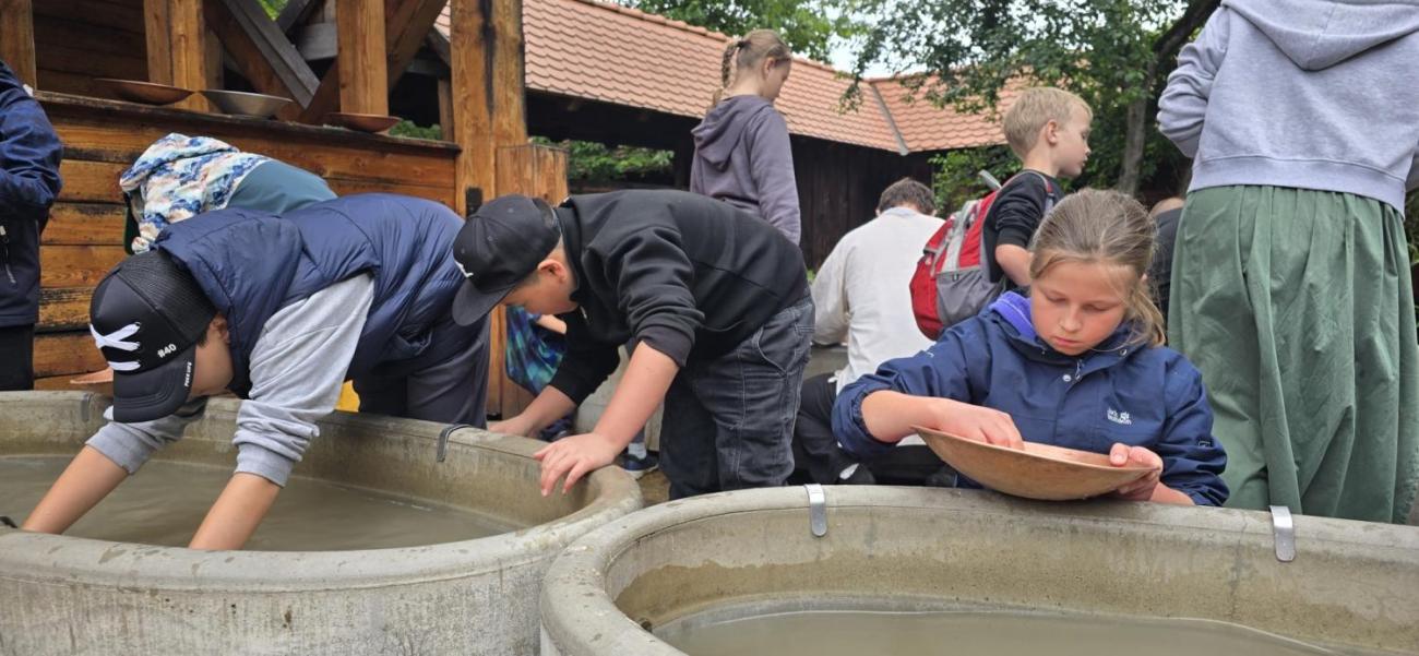 Výlet 4. tříd do Poděbrad a Botanicusu
