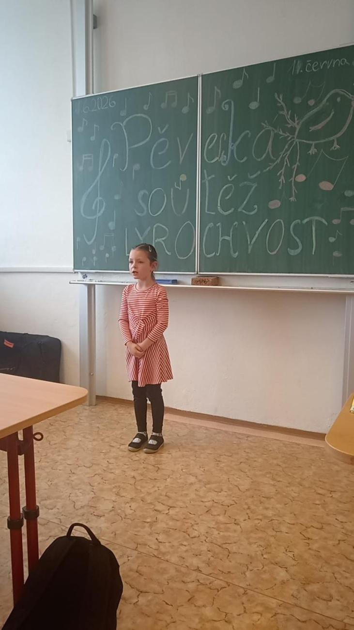 Zlatý lyrochvost