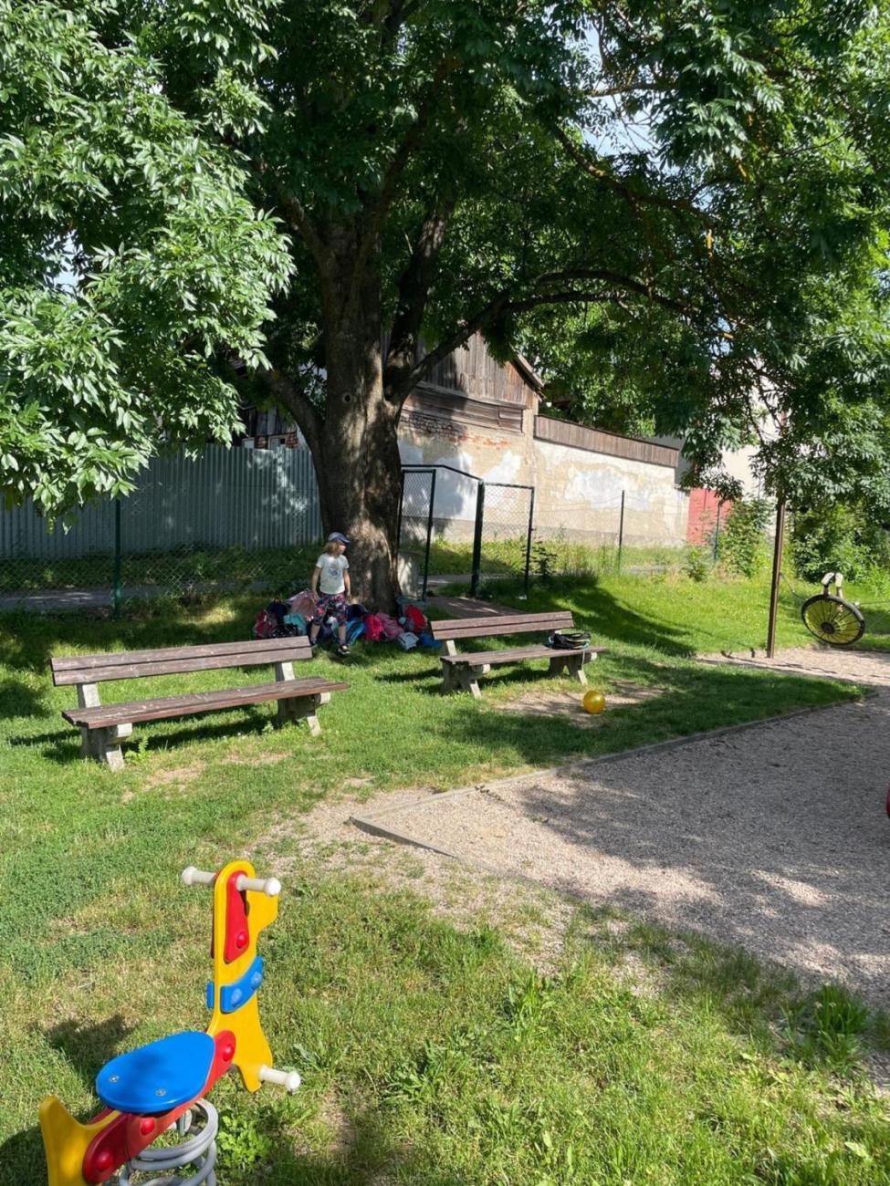 Sportovní den  2.B