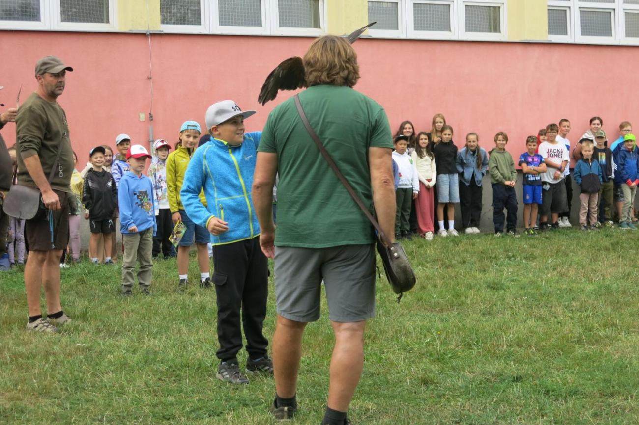 Dravci zavítali na naši školní zahradu