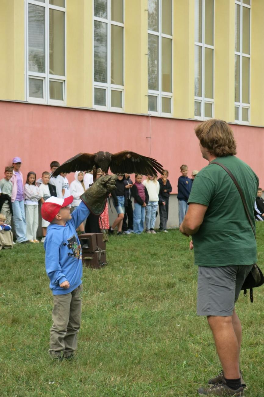 Dravci zavítali na naši školní zahradu