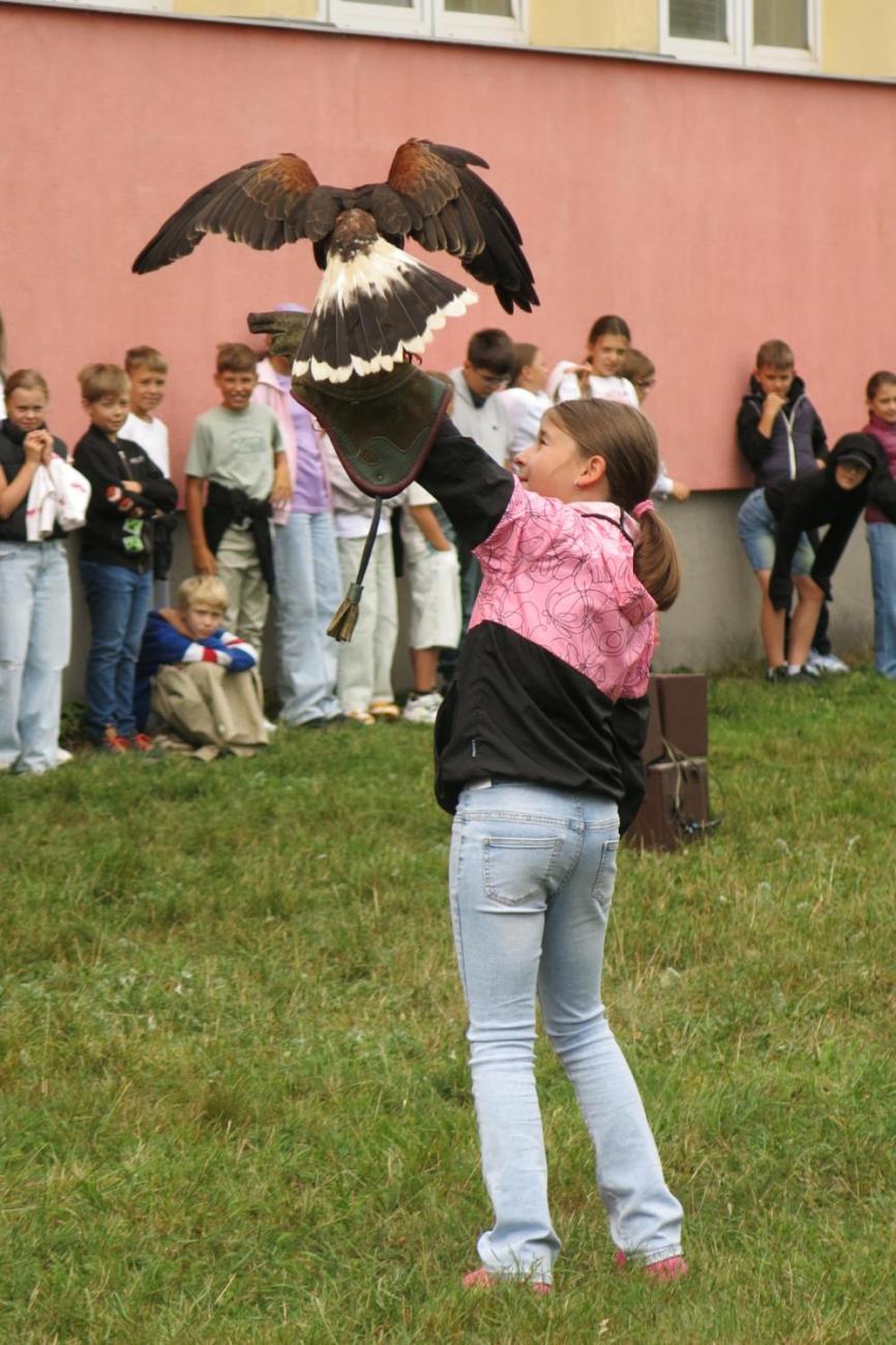 Dravci zavítali na naši školní zahradu